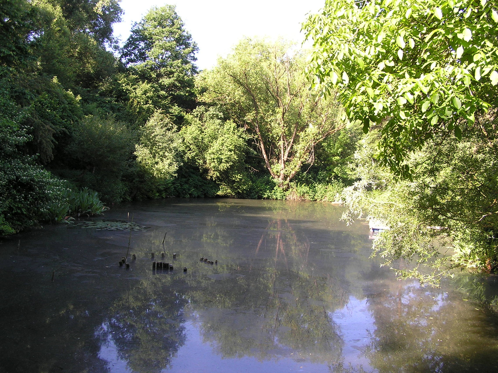 Der Weiher, Blick nach Westen