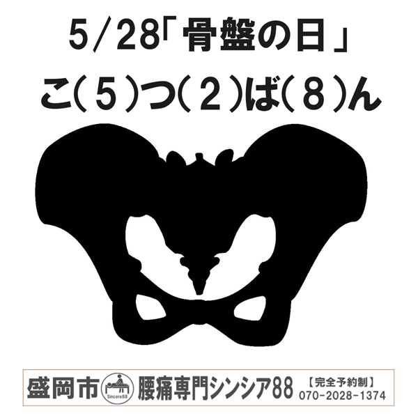 5/28「骨盤の日」