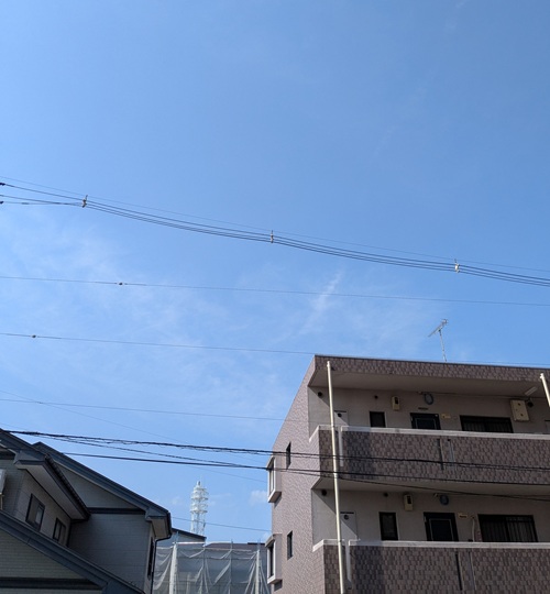 週末！久々の晴れ！