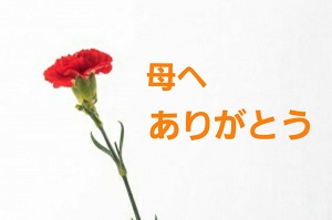 『母の日』