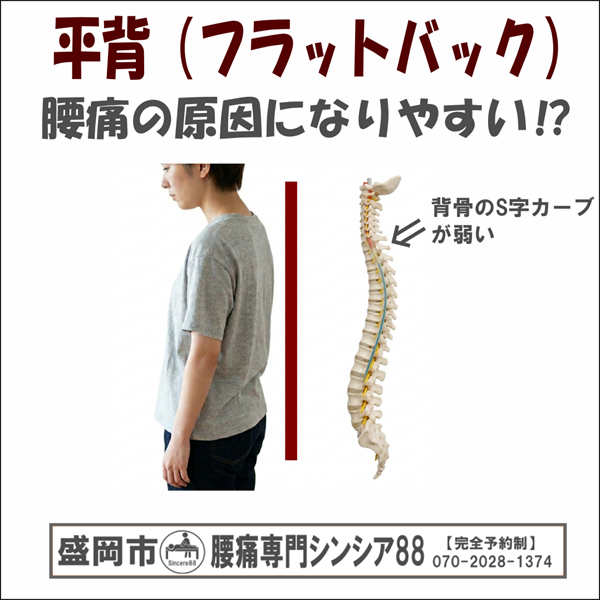 背中が平な人は「腰痛」になりやすい理由