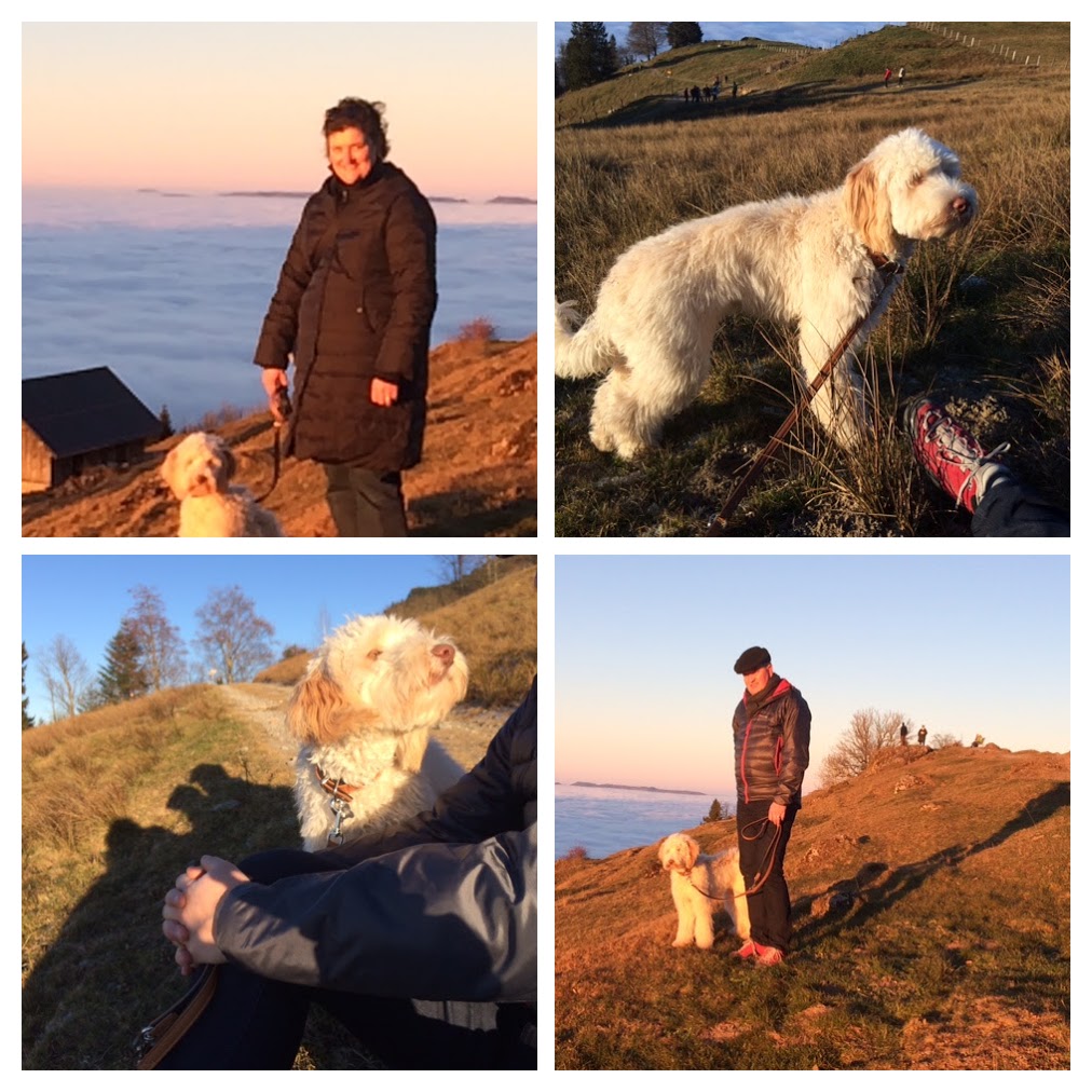 Esthi und Philip mit ihrem Frauenfeld BUDDY! Danke für die lieben Zeilen und die Fotos :)