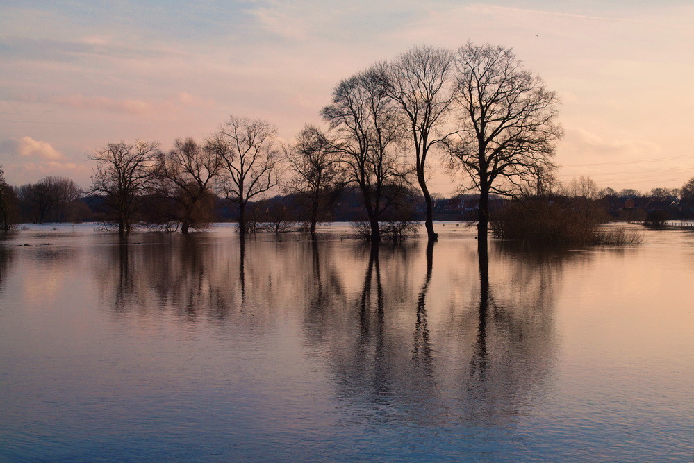 Ems-Hochwasser-2011-01-bei Bisping