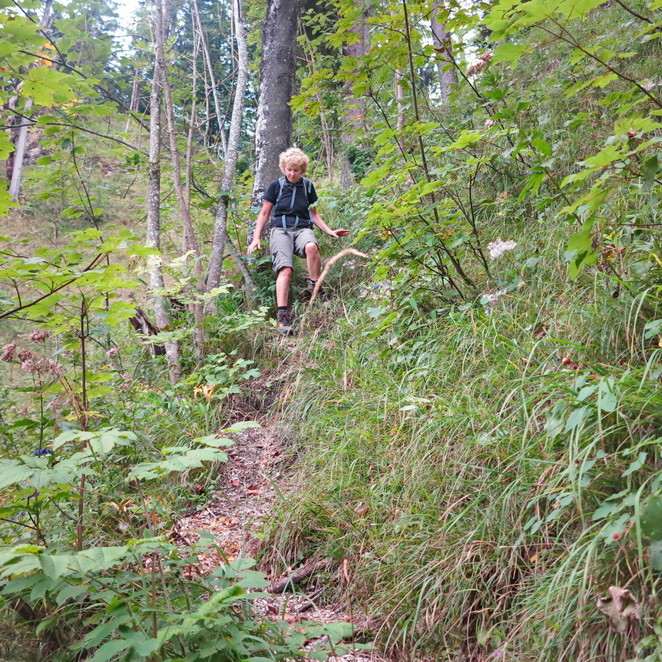 im Höllengebirge