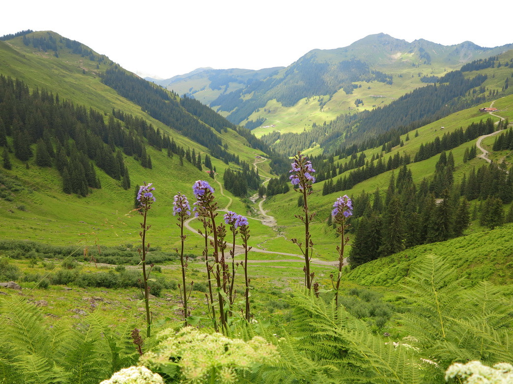 Österreich