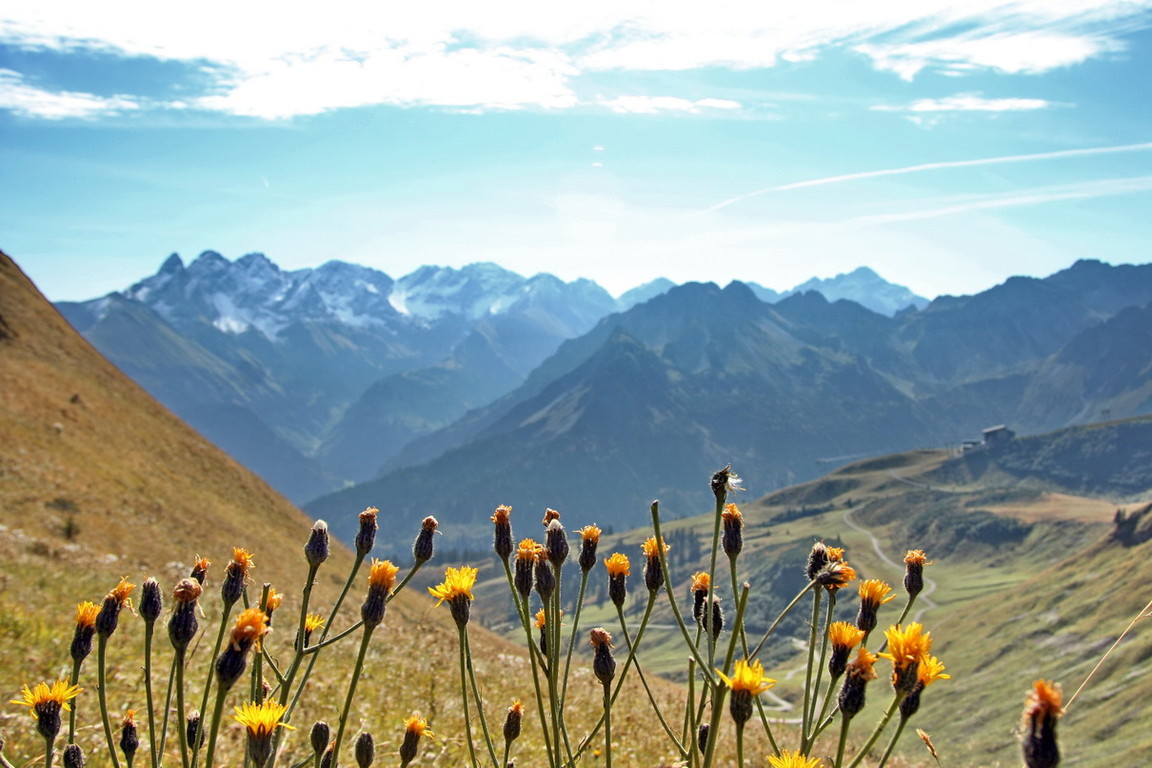 Allgäuer-Alpen - 2008-10