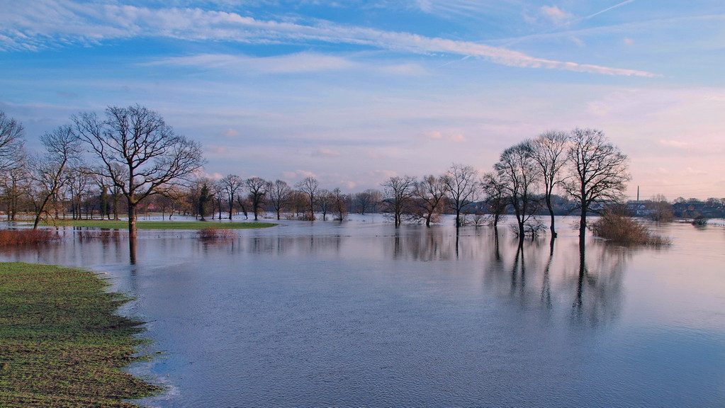 Ems-Hochwasser-2011-01-bei Bisping-2