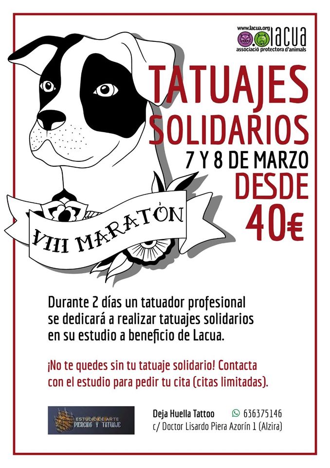 Lacua - Lacua Asociación Protectora De Animales De Alzira Lacua - Lacua Asociación Protectora De Animales De Alzira