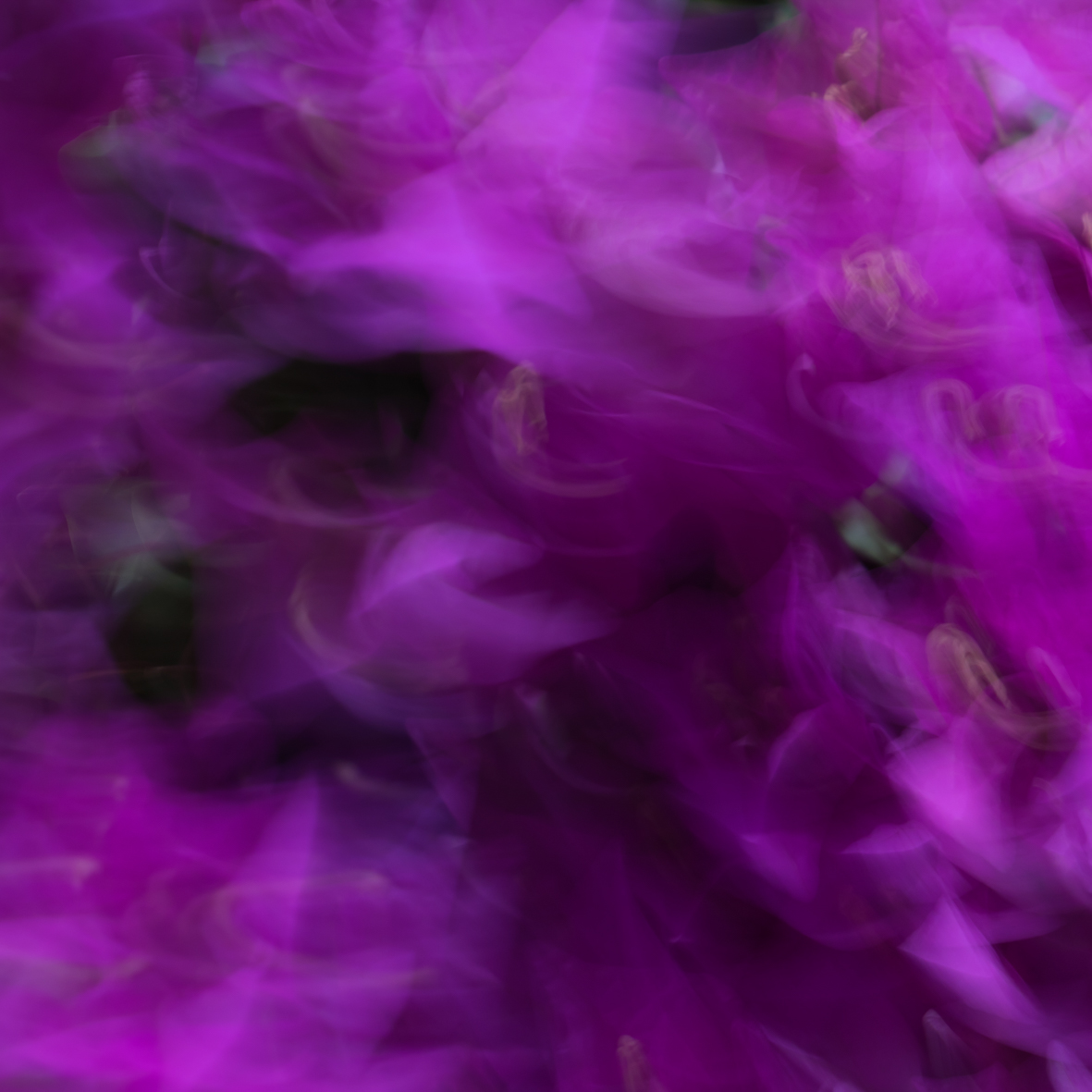 Variation XLI