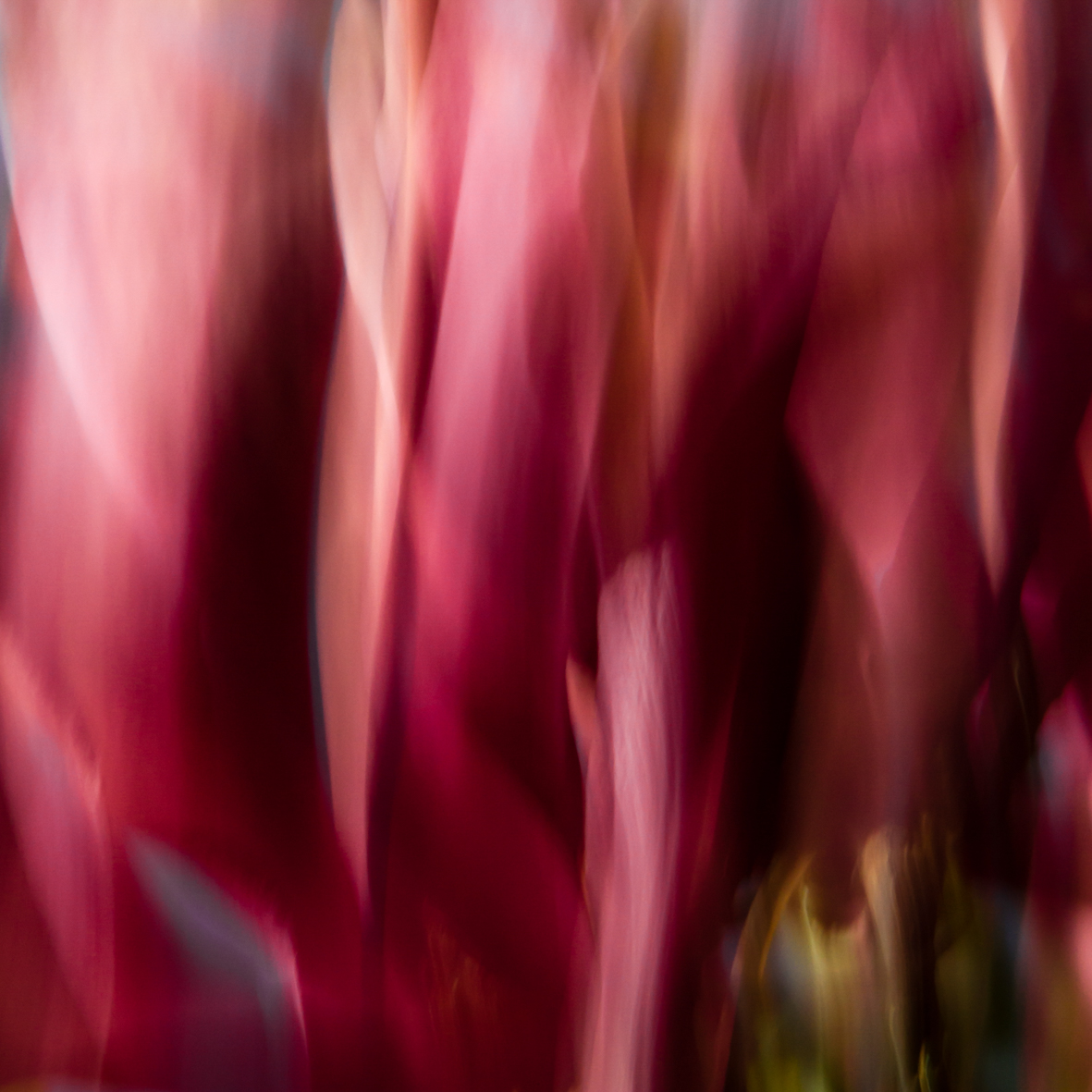 Variation VI
