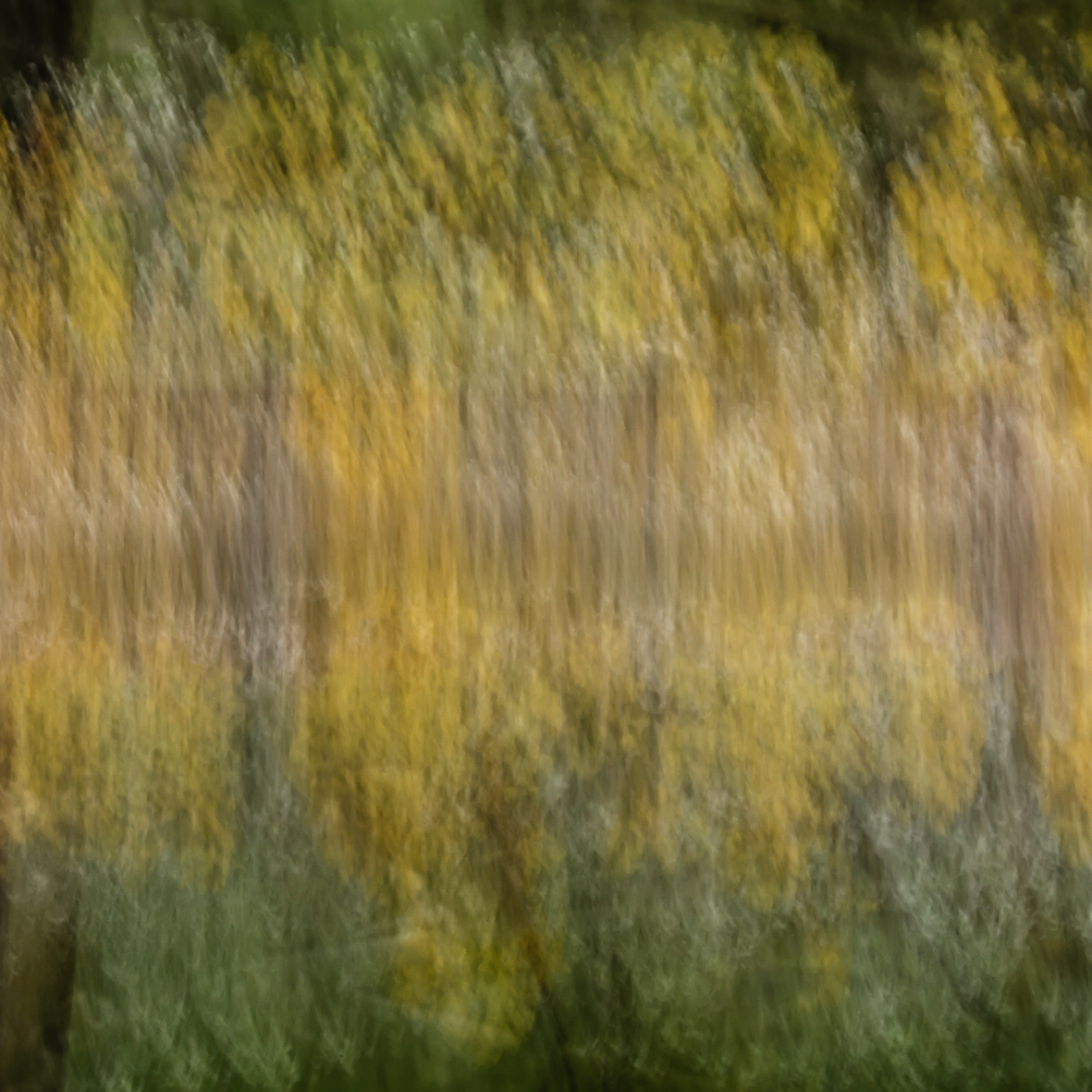 Variation XVIII