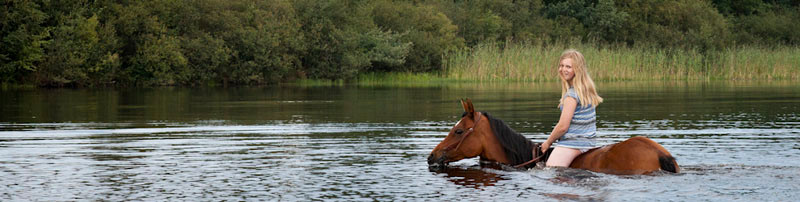 RossFoto Dana Krimmling Pferdefotografie Fotografien vom Wanderreiten Pferd in Wasser