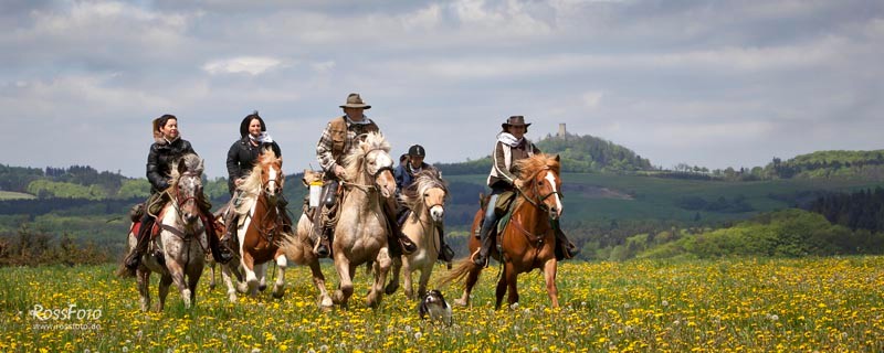 RossFoto Pferdefotografie Fotografien vom Wanderreiten Westernreiten Freiberger Pferde Quarter Horses