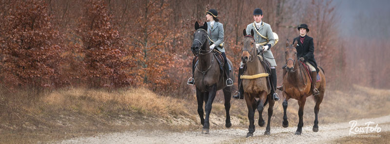 Chasse a courre Abbaye du val des Choues, RossFoto Dana Krimmling