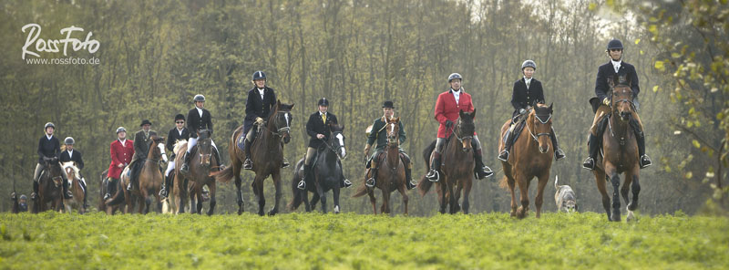 Elsässer Schleppjagd Haras de la Nee; Rossfoto Dana Krimmling; Jagdreiten; Schleppjagd; Badische Dragoner Meute; Jagdhunde; Meutehunde; Foxhounds; Estelle Hoffarth; Gerard Hoffarth; Jagdmeute; Jagdpferd