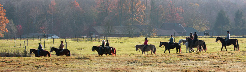 RossFoto Dana Krimmling Pferdefotografie Fotografie vom Wanderreiten Wanderritt Freiberger Pferde