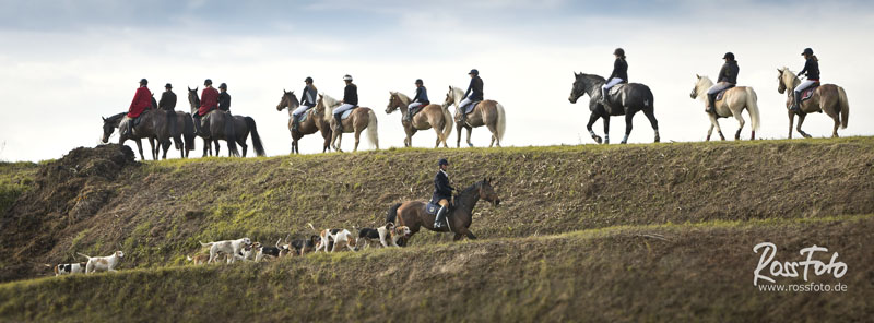 Elsässer Schleppjagd Haras de la Nee; Rossfoto Dana Krimmling; Jagdreiten; Schleppjagd; Badische Dragoner Meute; Jagdhunde; Meutehunde; Foxhounds; Estelle Hoffarth; Gerard Hoffarth; Jagdmeute; Jagdpferd