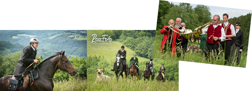 RossFoto Dana Krimmling; Schleppjagd Cappenberger Meute; Pferdefotografie; wanderreiten; westernreiten; jagdreiten; Jagdpferd; Westerwald; Hundemeute; Jagdhunde, Equipage