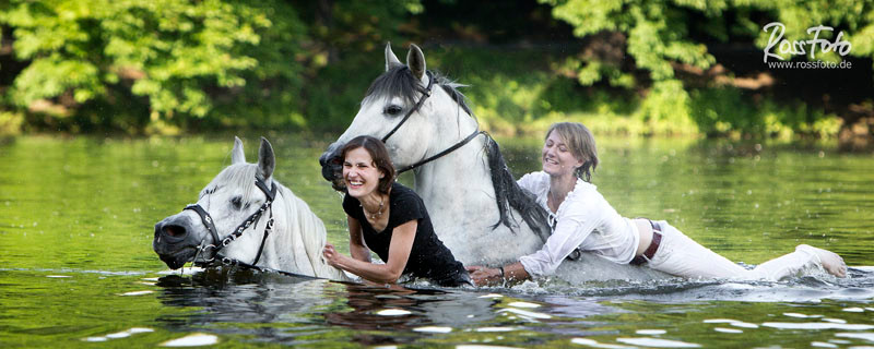 RossFoto Dana Krimmling Pferdefotografie Fotografien vom Wanderreiten Westernreiten Baden mit Pferden Wasser Sommer 