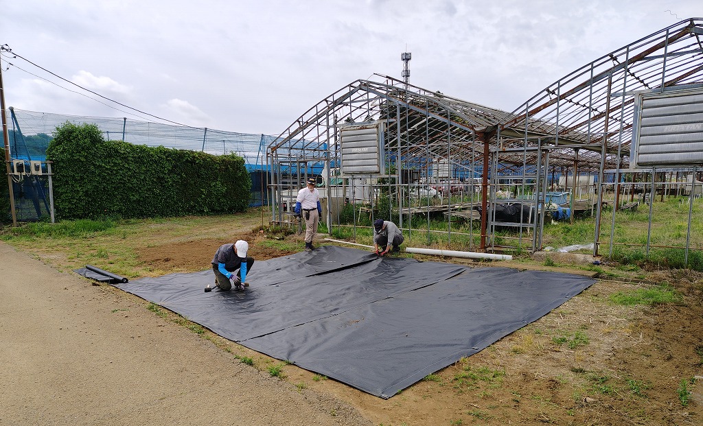 第4圃場の夏に向けての環境整備作業、その１