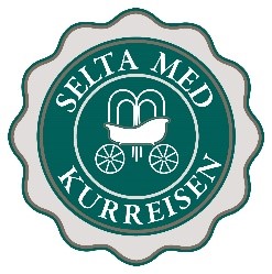 Logo Selta Med