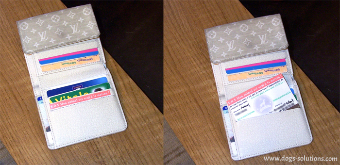 Carte pour porter secours a votre chien dans un porte cartes