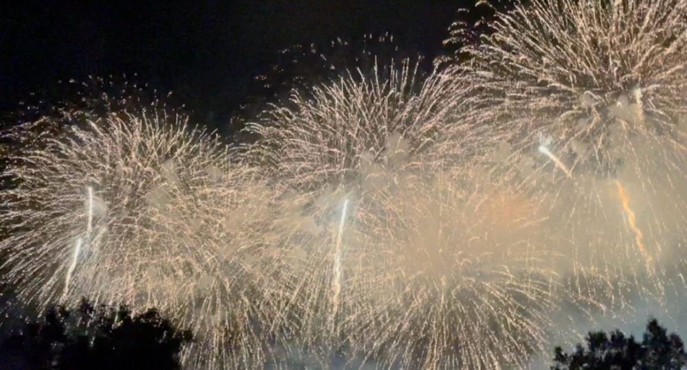 写真では伝わらぬ近さ!その近さが神っぽい。両サイドは木のてっぺん