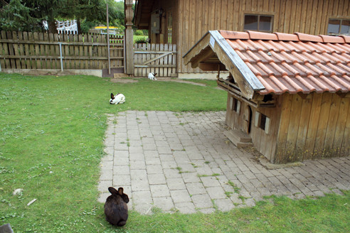 TV Groß-Rohrheim im Allgäu 2012