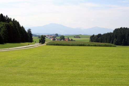 TV Groß-Rohrheim im Allgäu 2012