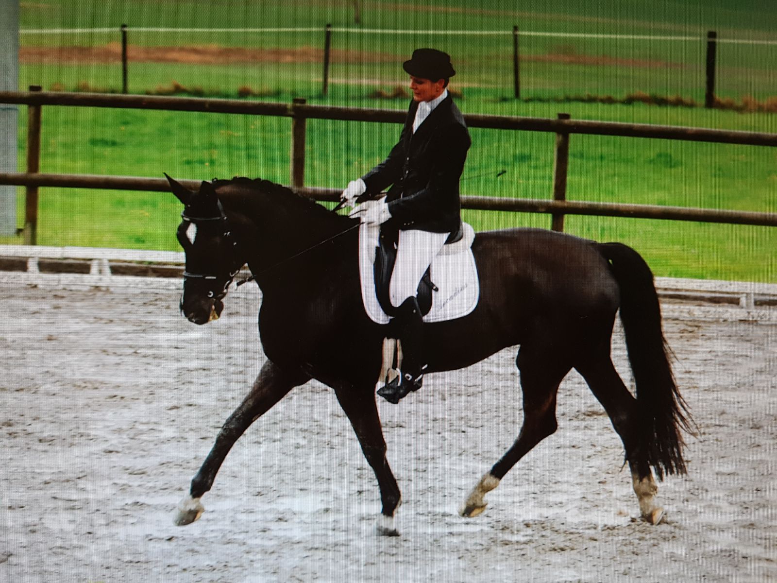 Kundenmeinungen - Heilbalance-für-Tiere by Denise Wagner