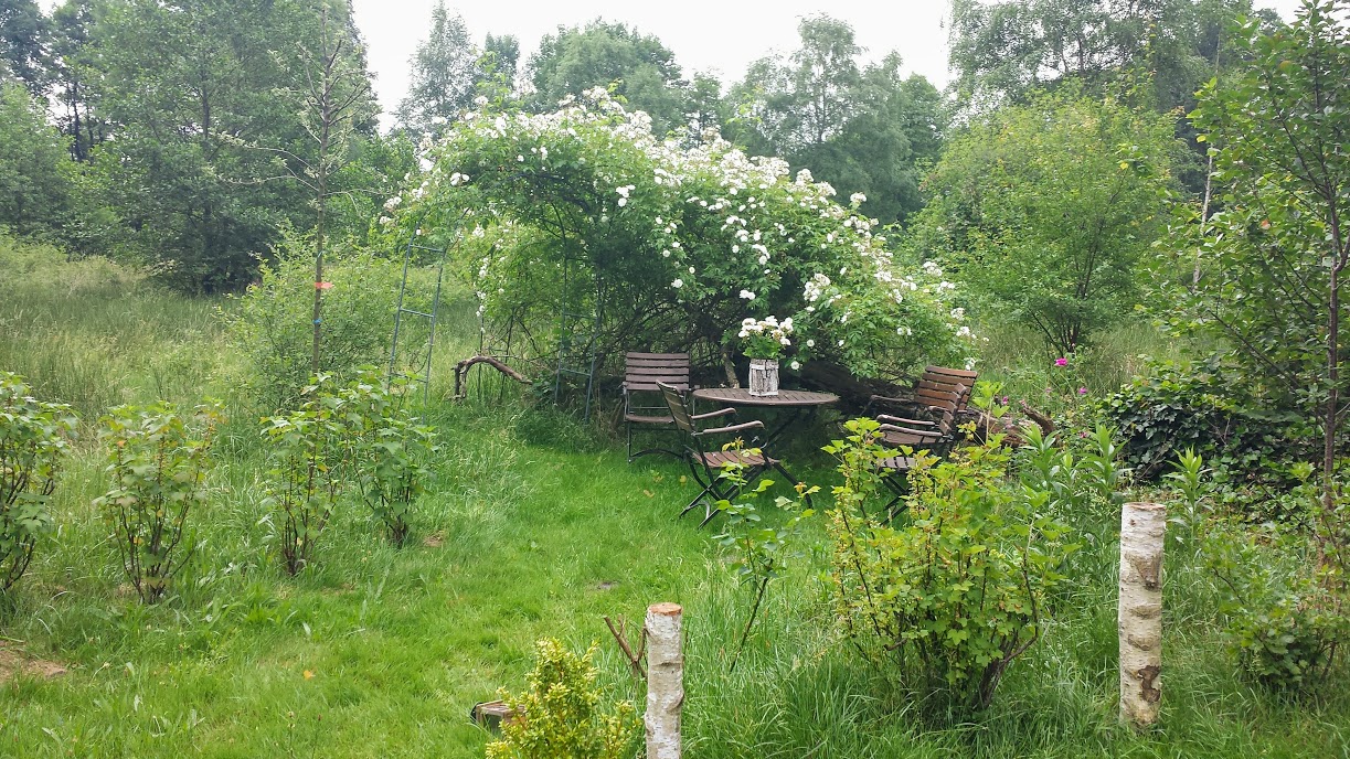 Wie der Garten naturnah wird NABU Rotenburg