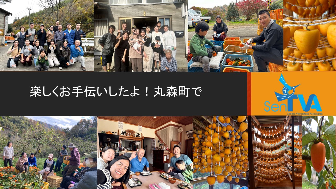 農民の柿の収穫！笑顔で手伝ったよ！