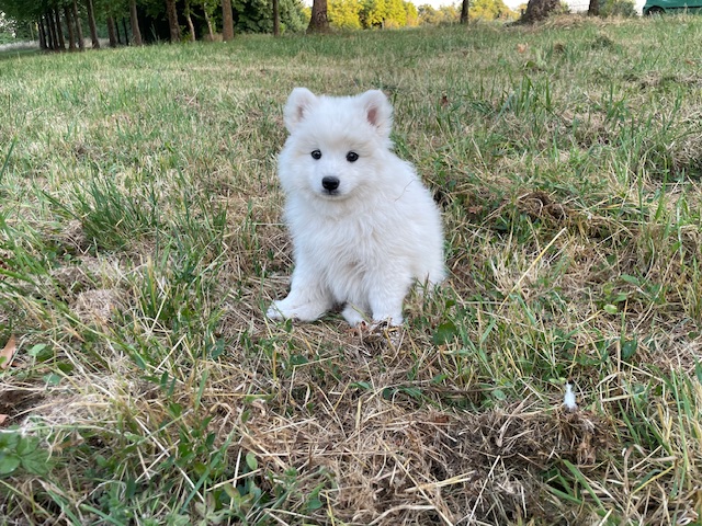 Alaska, réservée