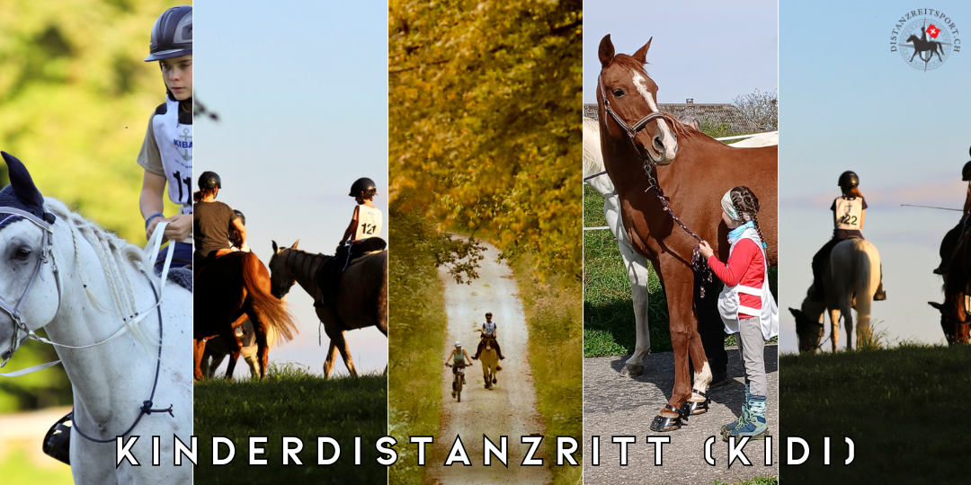 Was ist ein Kinderdistanzritt (KiDi)? (ab 2026)