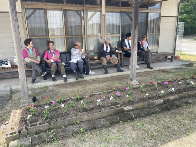 花の苗植え