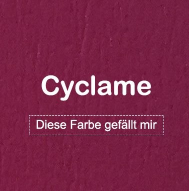 mk-exklusive-orthopädische-visco-hundematratze-kunstleder-Cyclame