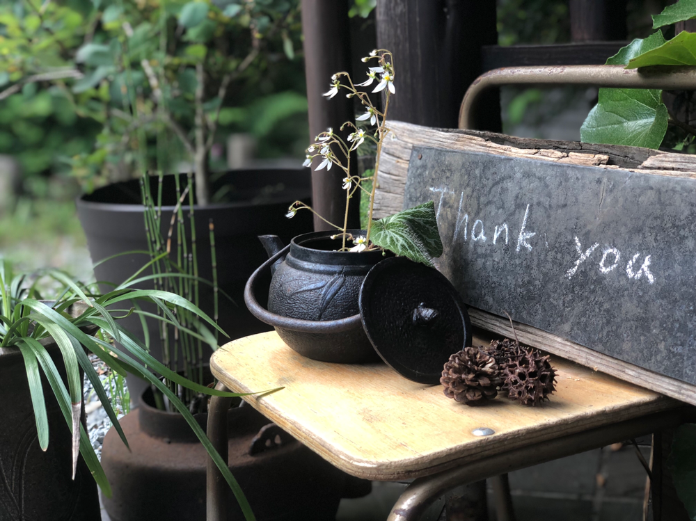 小さな物語のあるお店 ごはんや 里庵 小さな物語のあるお店 ごはんや 里庵