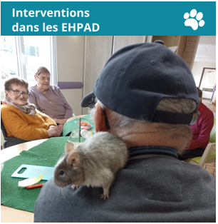 médiation animale en EHPAD maison de retraite