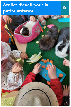 médiation animale enfants hadicapés