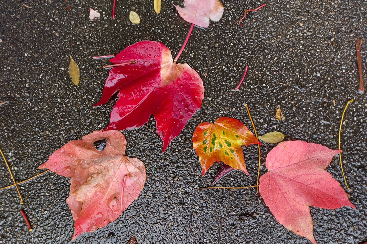 Wasser, Wasser überall...