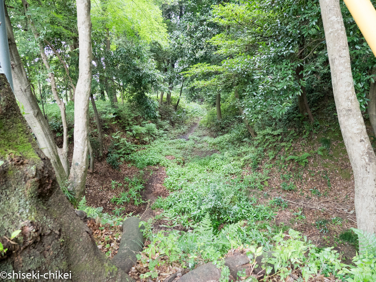 尾張国　犬山藩