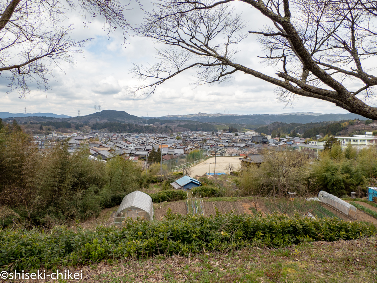 美濃国　岩村藩