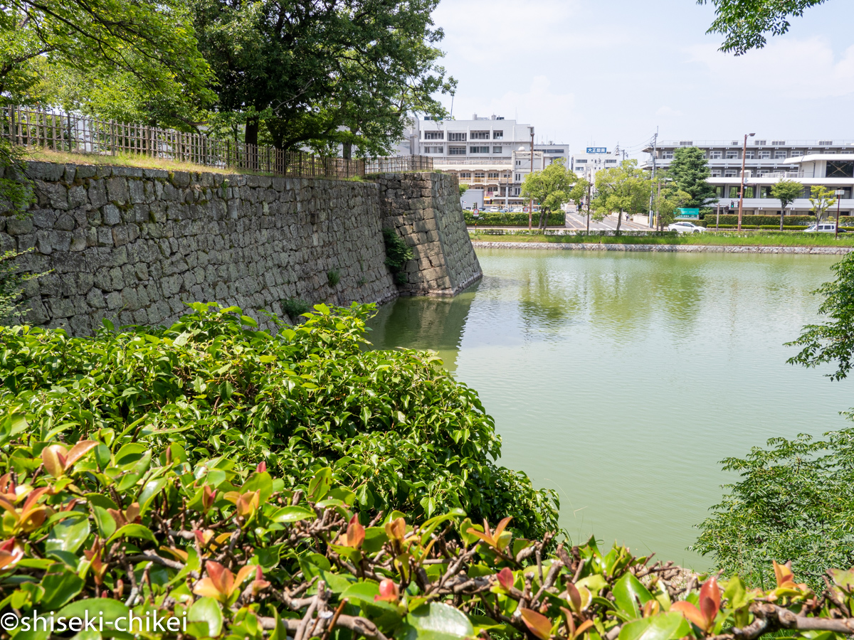 讃岐国　丸亀藩