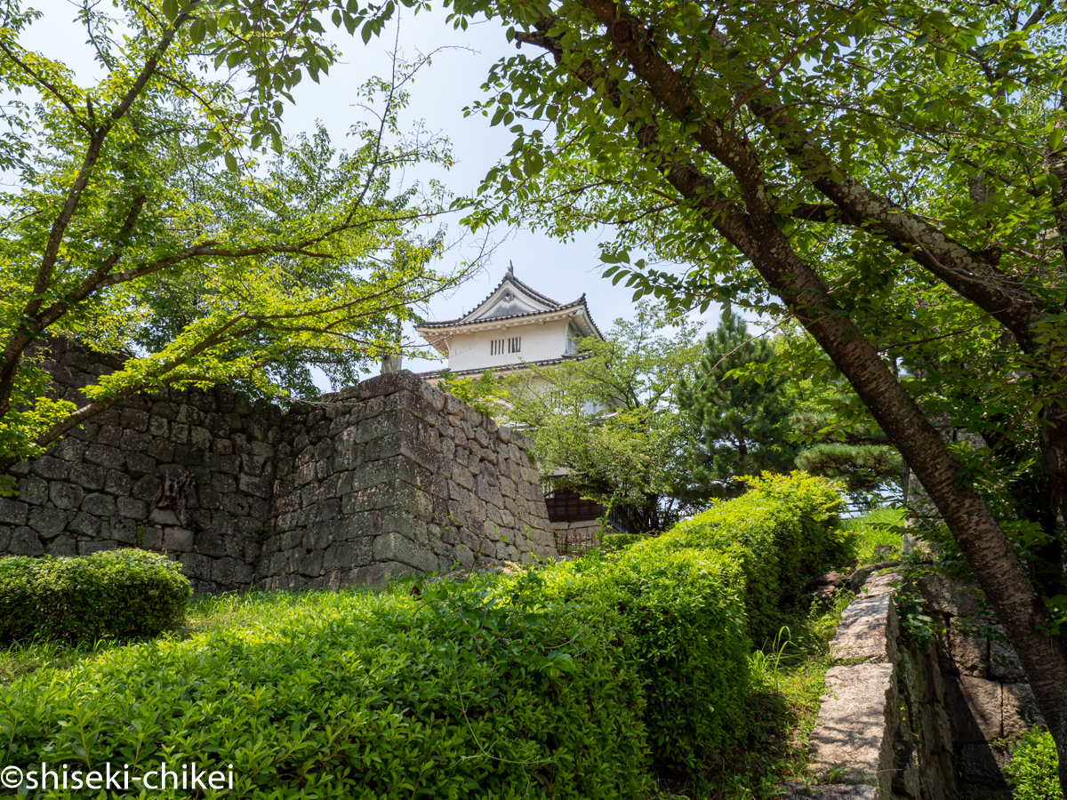 讃岐国　丸亀藩