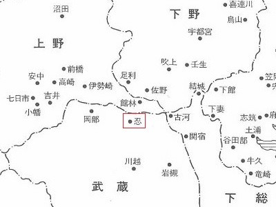 Amazon.co.jp: 絵図 （城郭図） 埼玉県 武蔵國 忍城 古地図 江戸