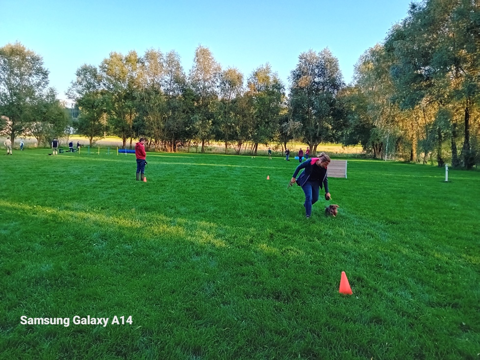 Permering- 3 Gruppen am Platz -- Welpen , freies Training und BHPS Training alles klappt reibungslos und macht Spaß