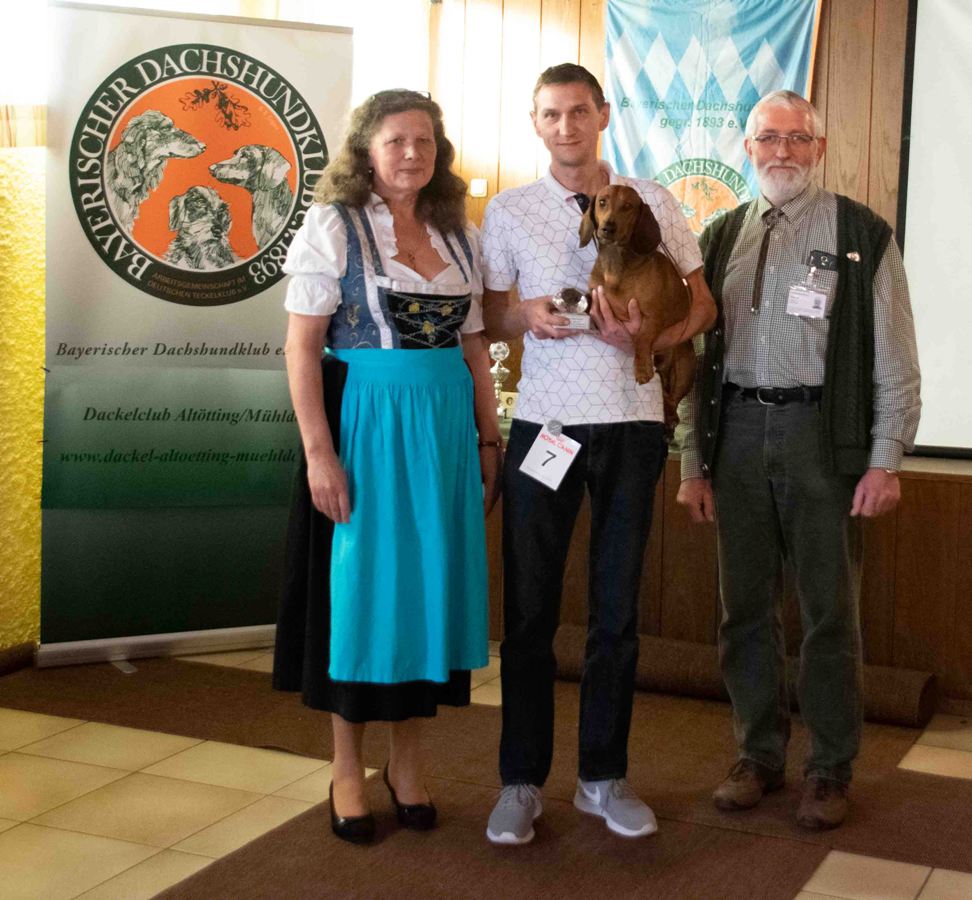 Schönster Kurzhaar  Isidor von der Martinskirche