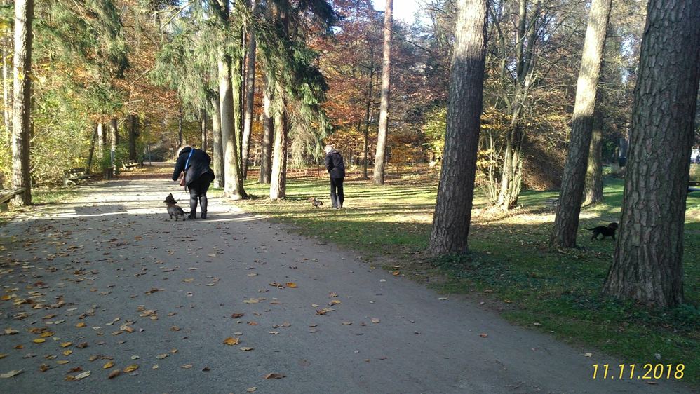 Slalom laufen- Hindenisse überwinden gar nicht so leicht wenn Jogger und Spaziergänger vorbeikommen.  