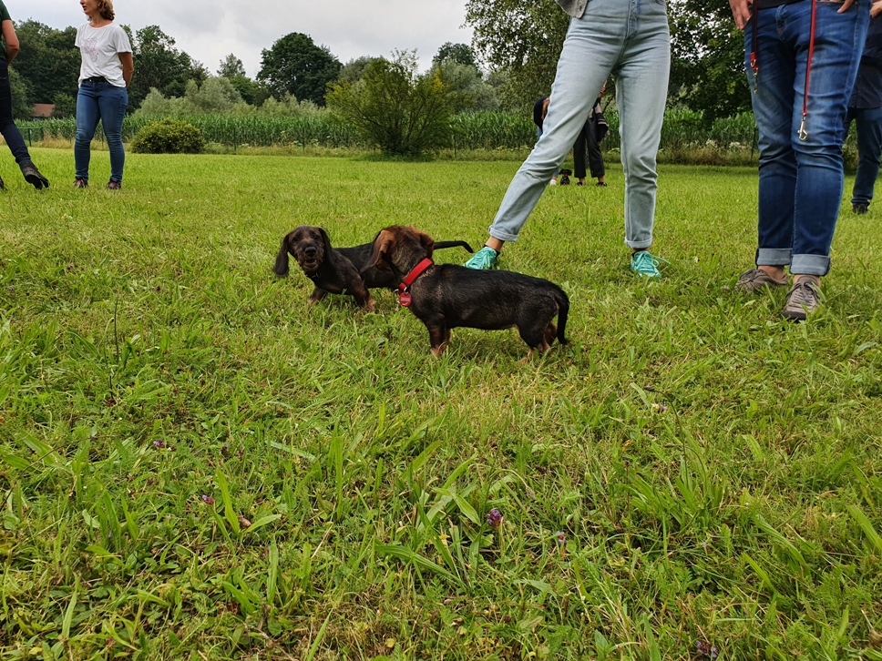 natürlich kommt auch das frei spiel nicht zu kurz