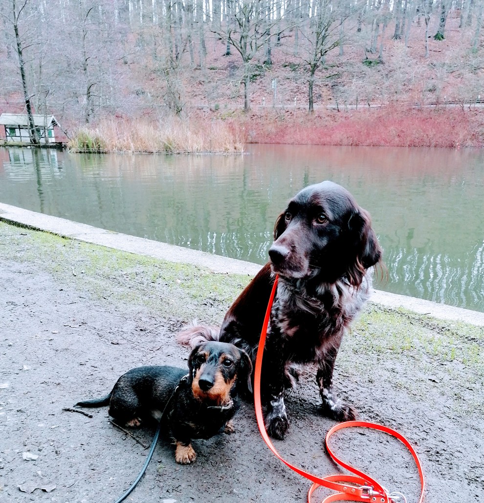 liebe Grüße aus Radevomwald an alle Mitglieder unserer Sektion bleibts gsund